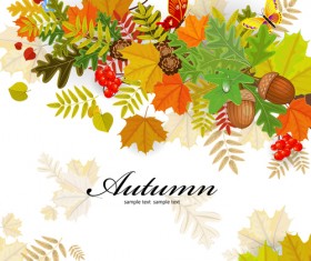 Colored autumn leaves with fructification backgrounds vector 03