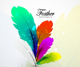 Colored feathers art background 03