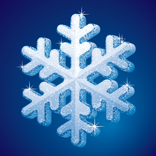 Delicate snowflake christmas illustration vector 02