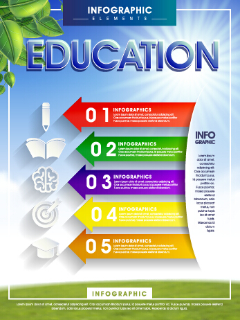 Education and teaching business infographics vector 04