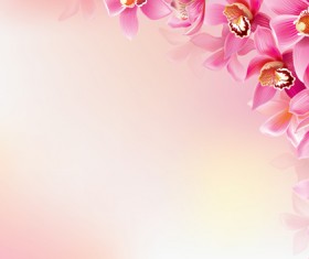 Elegant orchids vector background art 02