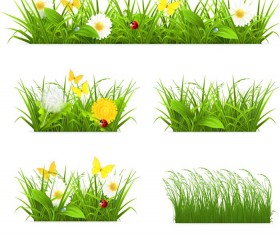 Flower with grass border vector material 01