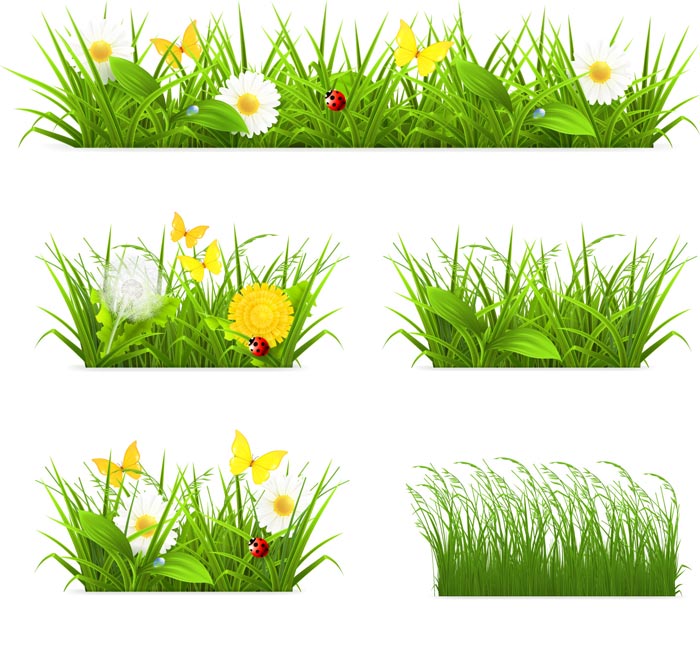 Flower with grass border vector material 01