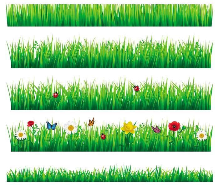 Flower with grass border vector material 02