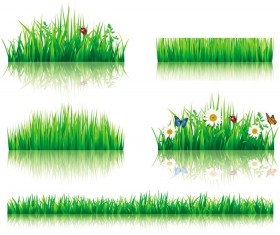Flower with grass border vector material 03