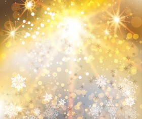 Golden christmas background with snowflake vecror 02