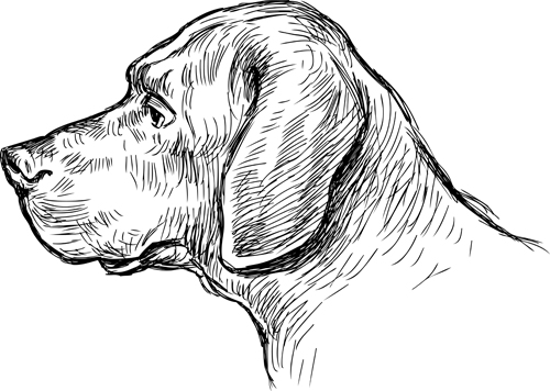 Hand drawn dog art vector material 03