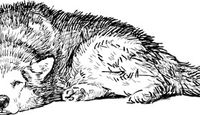 Hand drawn dog art vector material 05