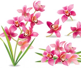 Pink orchids design vector 01