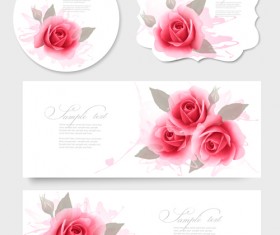 Pink rose banner and cards vector