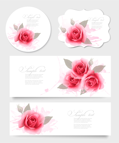 Pink rose banner and cards vector