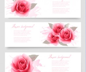 Pink rose banner vector design