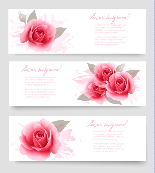 Pink rose banner vector design