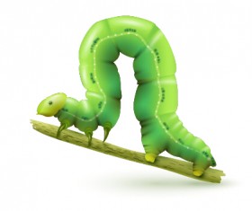 Realistic budworm vector design