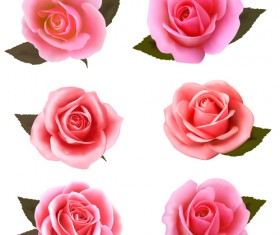 Realistic pink roses vector material