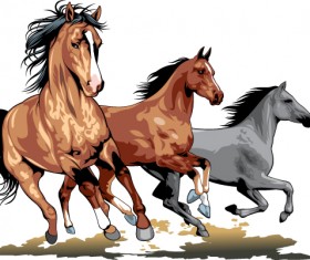 Realistic running horses vector graphics 05
