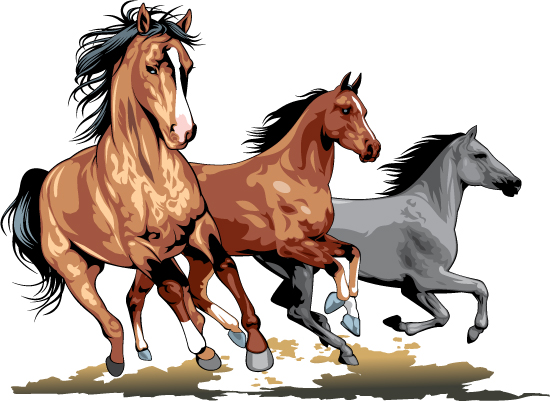 Realistic running horses vector graphics 05