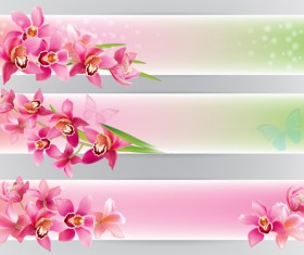 Shiny orchids banners vector design