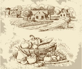 Sketch village with vegetables vector 02