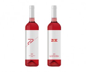 Vector wine bottle graphic