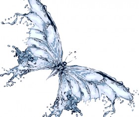Water butterfly vector design