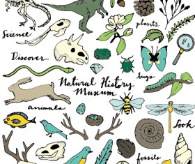 Wild animal and natural vector illustration