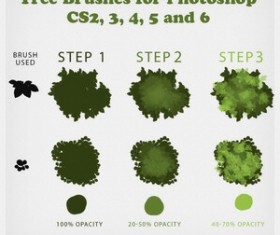 Tree Brushes  Tutorial and Brushes
