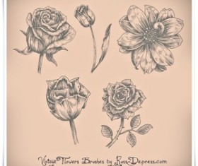 Vintage Flowers High Res Photoshop Brushes