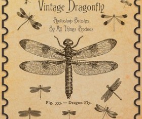 Vintage Dragonfly Brushes