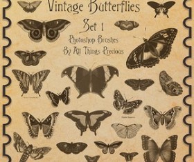 Vintage Butterflies SET 1 Brushes