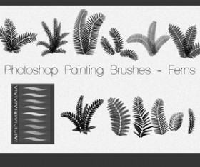Photoshop Painting Brushes  FERNS