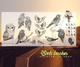 Bird Photoshop Brushes