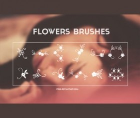 Flowers Brushes