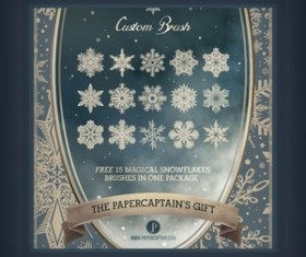 The Magical Snowflakes