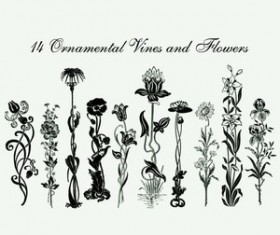 Flowers and Vines Brushes