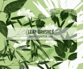 Free Leaf Photoshop Brushes