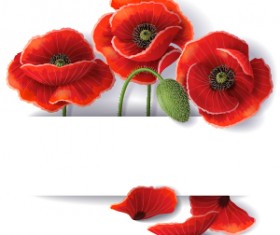 Beautiful red flower with paper background vector