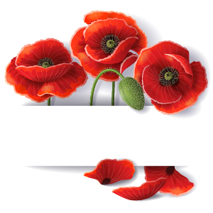 Beautiful red flower with paper background vector