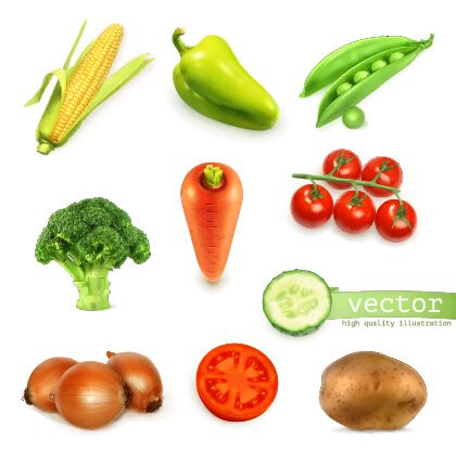 Fresh vegetable shiny vector material