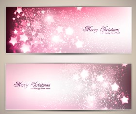 Ornate stars with holiday banners vector 01