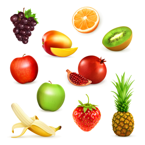 Various fresh fruits vector illustration