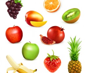 Vector realistic fruits icons material