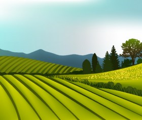Beautiful fields landscapes vector set 13