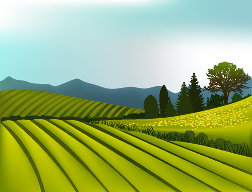 Beautiful fields landscapes vector set 13