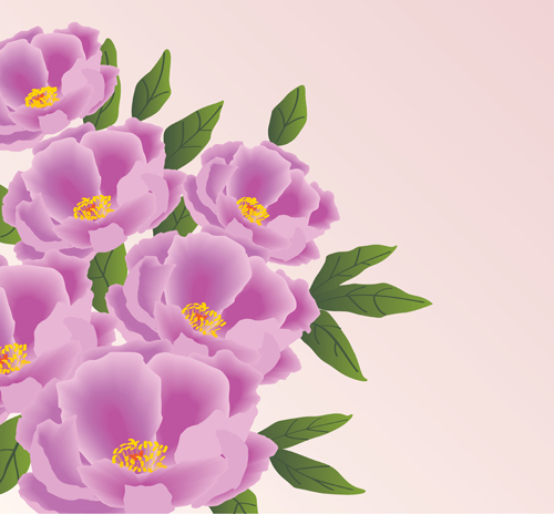 Beautiful pink flowers vector background set 10