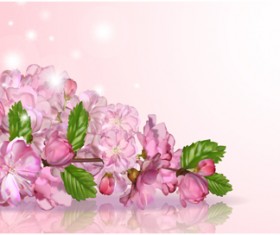 Beautiful pink flowers vector background set 11