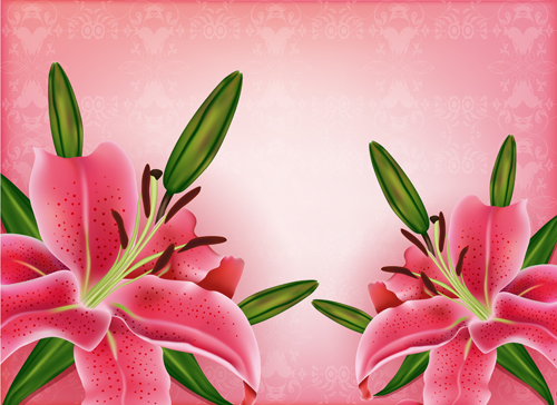 Beautiful pink flowers vector background set 12