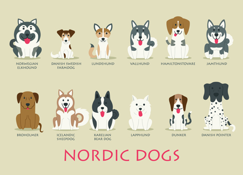 Creative nordic dogs icons vector