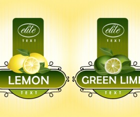 Delicate fruit advertising labels vector 01