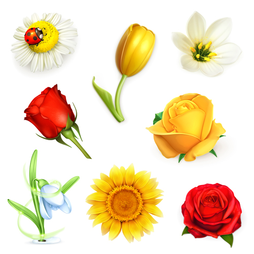 Different flowers design vectors material